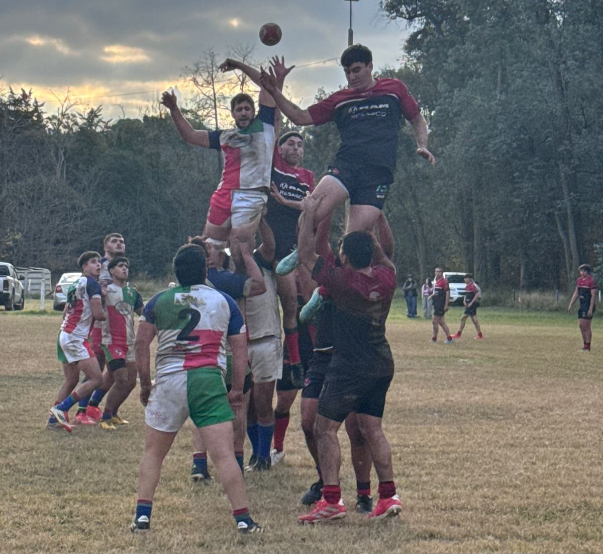 Pico Rugby Club logró el boleto para el Regional Pampeano C 
